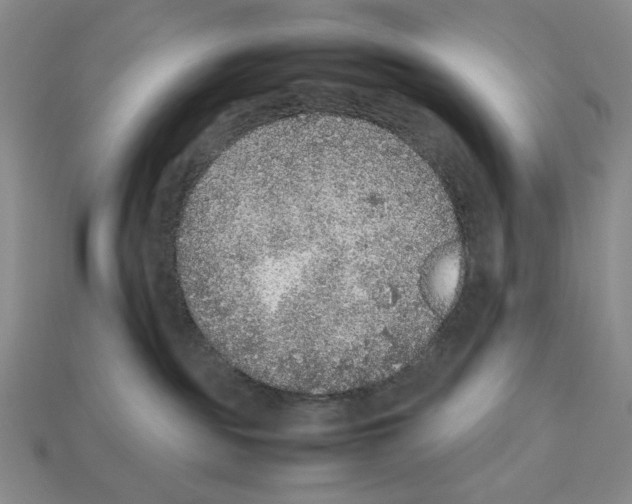 X0000112510189200909281003