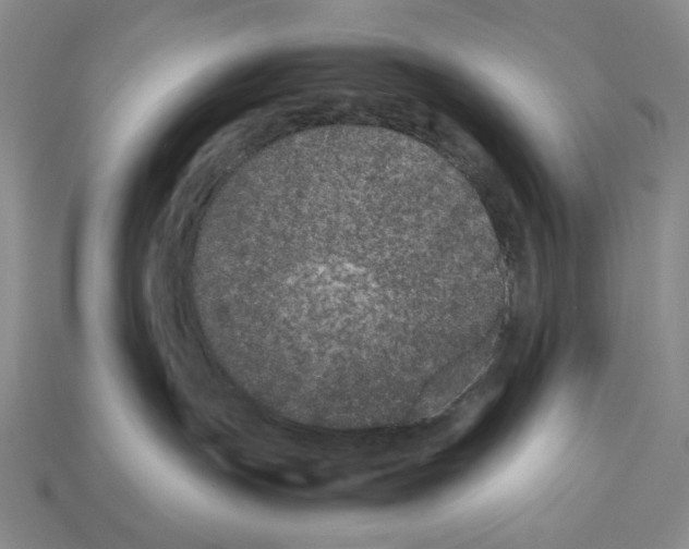 X0000112510191200909281003