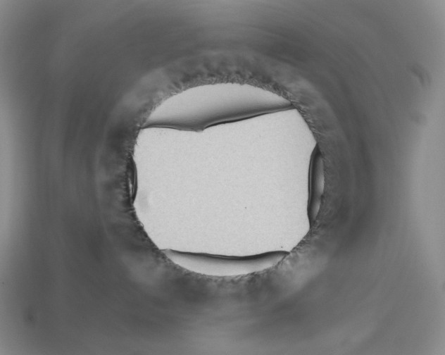 X0000112510192200909281003