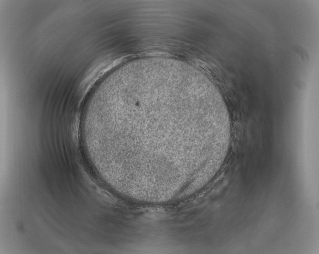 X0000112510194200909281003