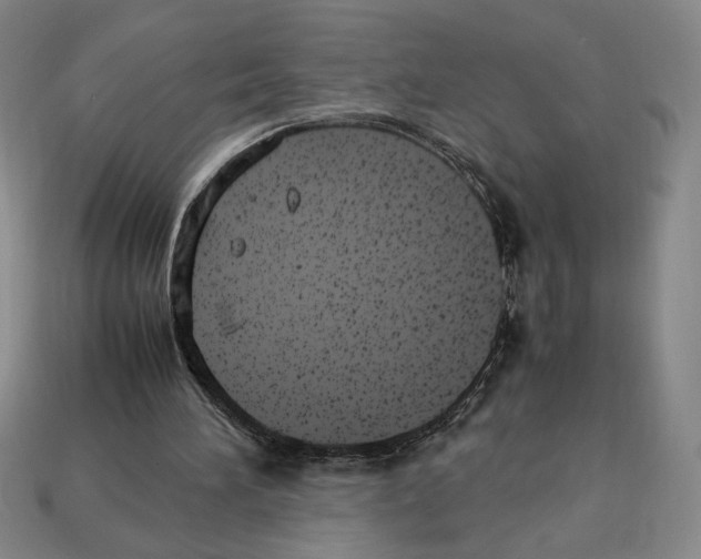 X0000112510196200909281003