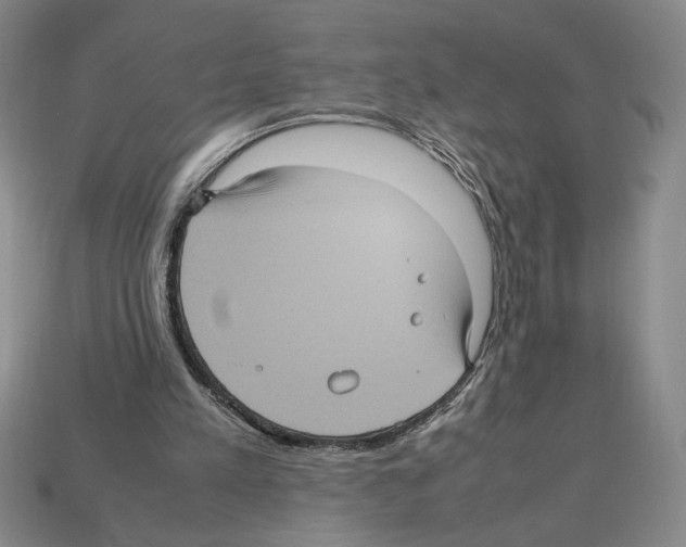 X0000112510197200909281003