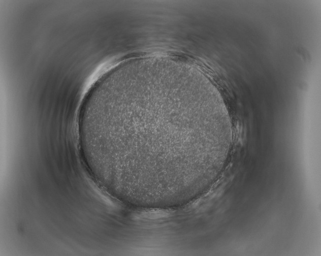 X0000112510198200909281003