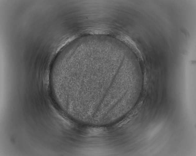 X0000112510202200909281003