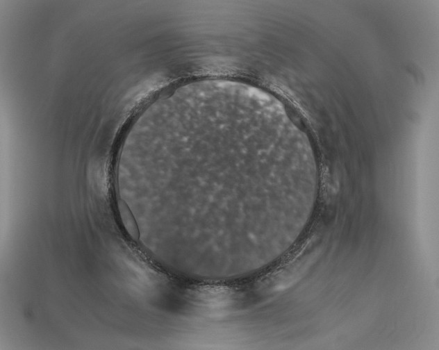 X0000112510203200909281003