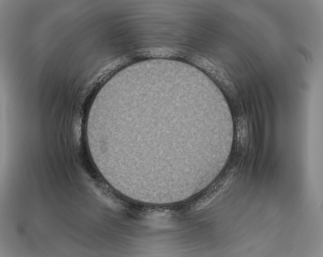 X0000112510206200909281003