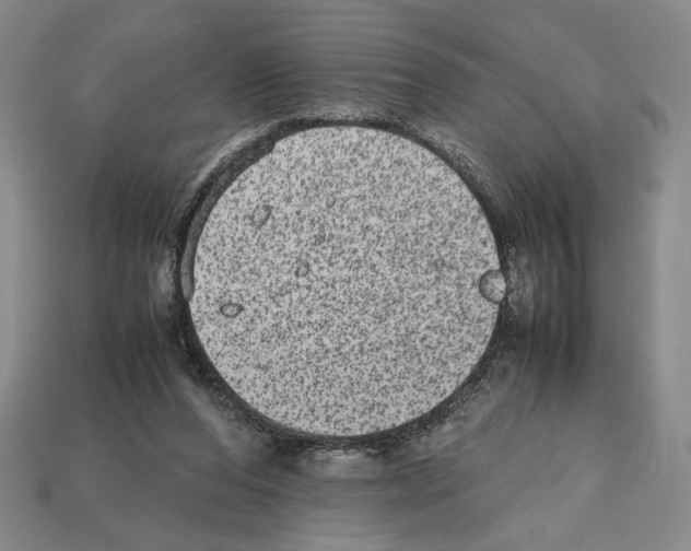 X0000112510208200909281003