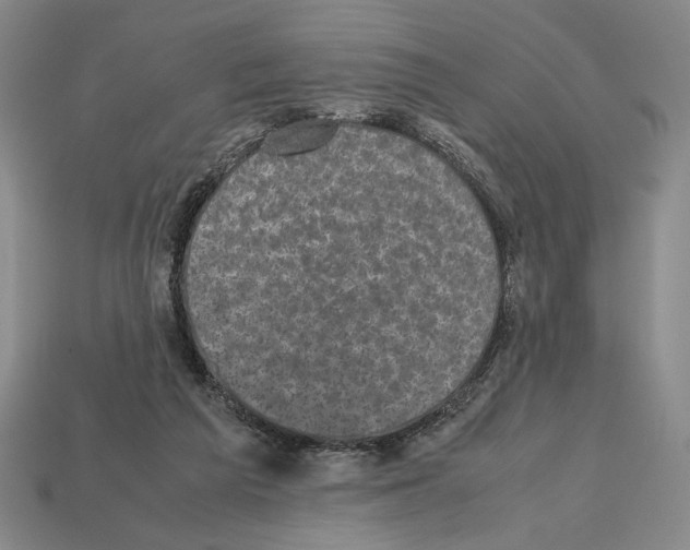 X0000112510209200909281003