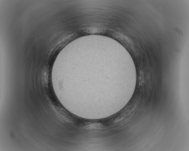 X0000112510210200909281003