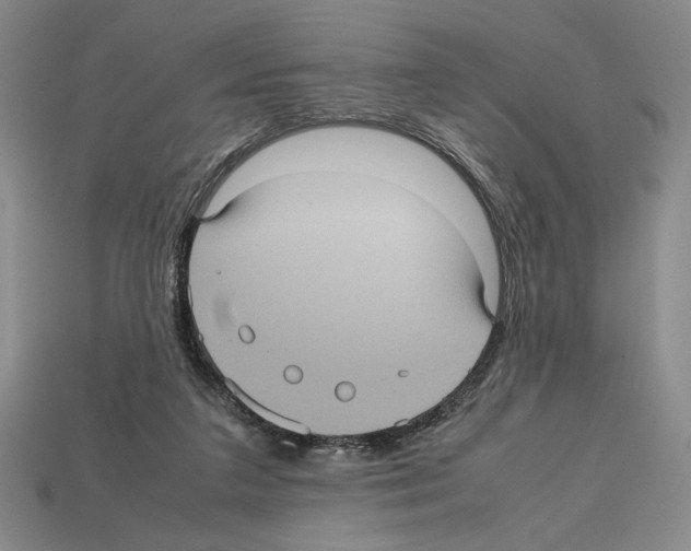 X0000112510211200909281002