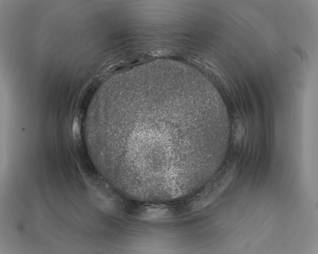 X0000112510214200909281002