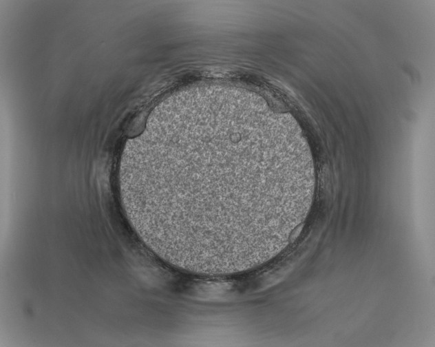 X0000112510217200909281002