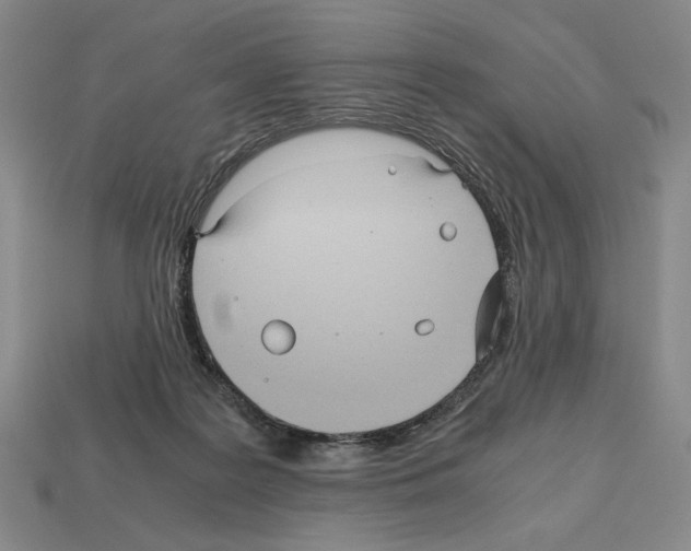 X0000112510219200909281002