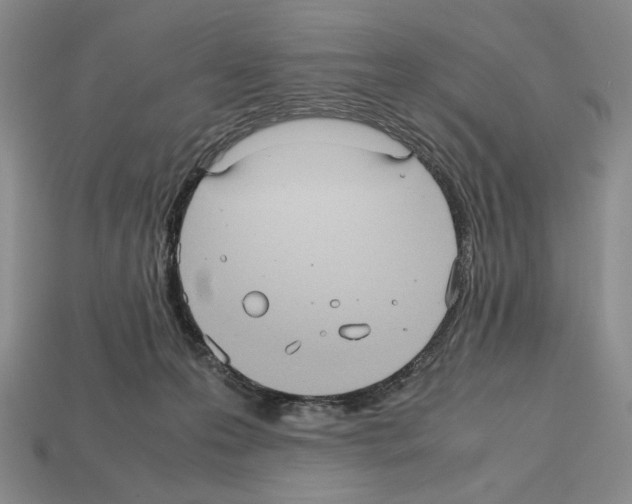 X0000112510223200909281002