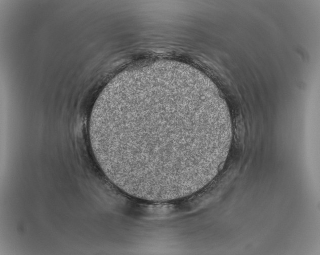 X0000112510225200909281002