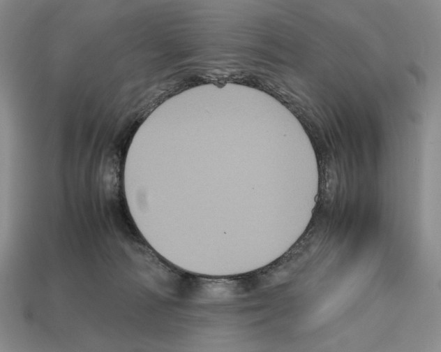 X0000112510226200909281002