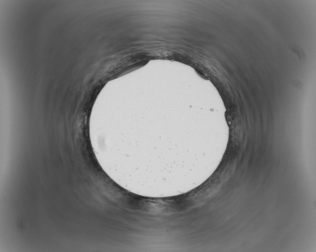 X0000112510229200909281002