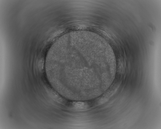 X0000112510230200909281002