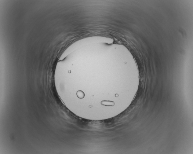 X0000112510231200909281002