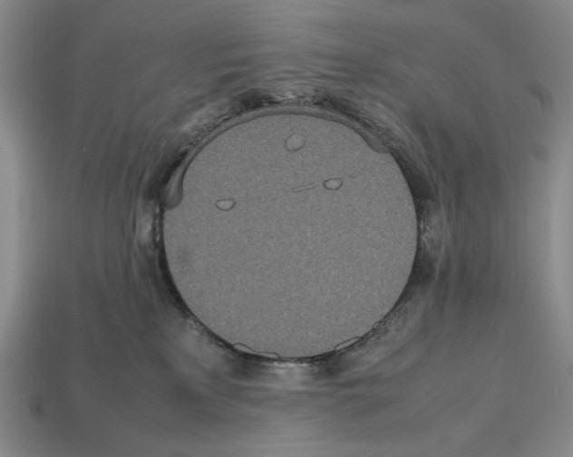 X0000112510233200909281002