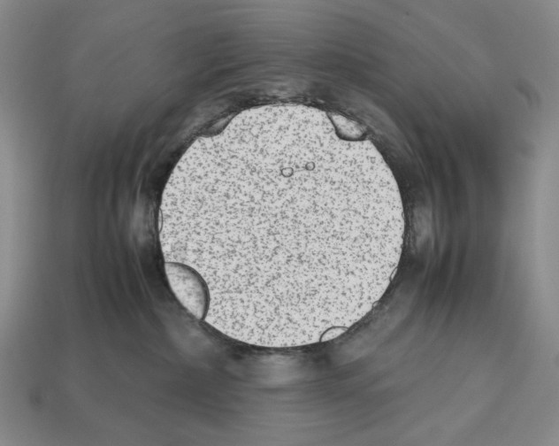 X0000112510236200909281002