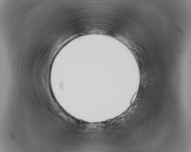 X0000112510241200909281002