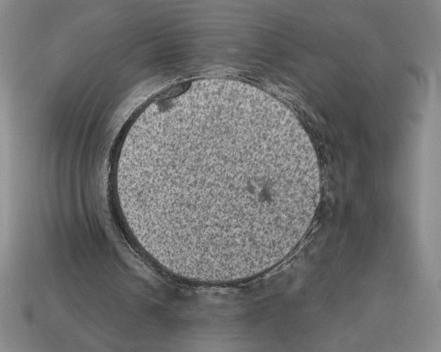 X0000112510242200909281002