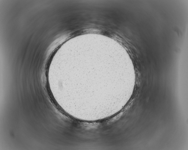 X0000112510245200909281002