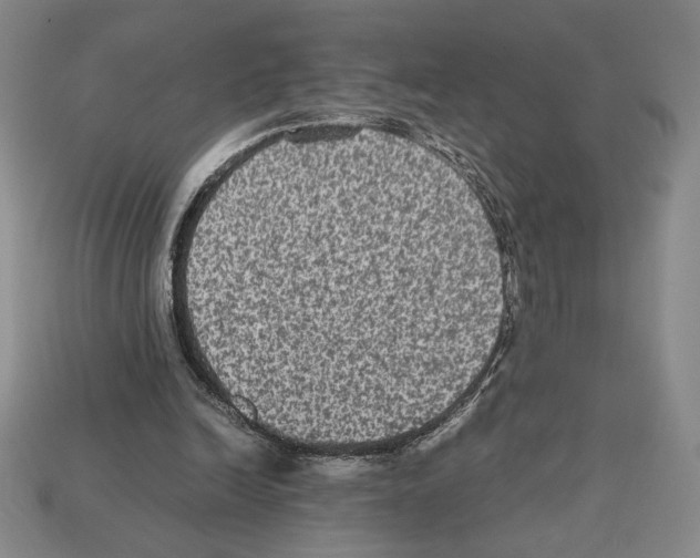 X0000112510246200909281002