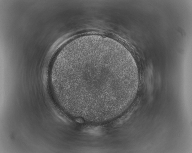 X0000112510247200909281002