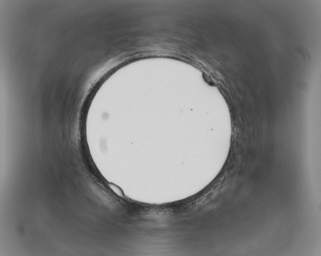 X0000112510248200909281002