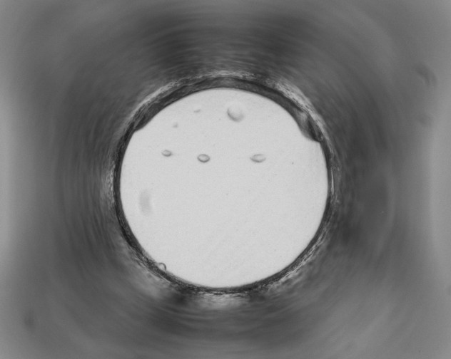 X0000112510249200909281002