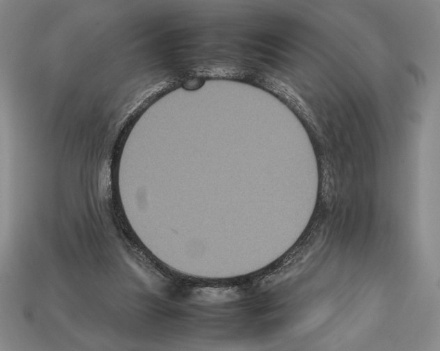 X0000112510251200909281002