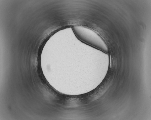 X0000112510252200909281002