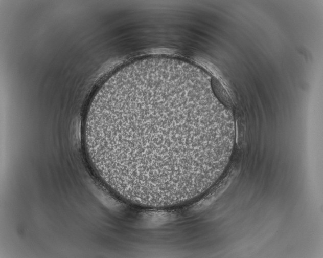 X0000112510253200909281002