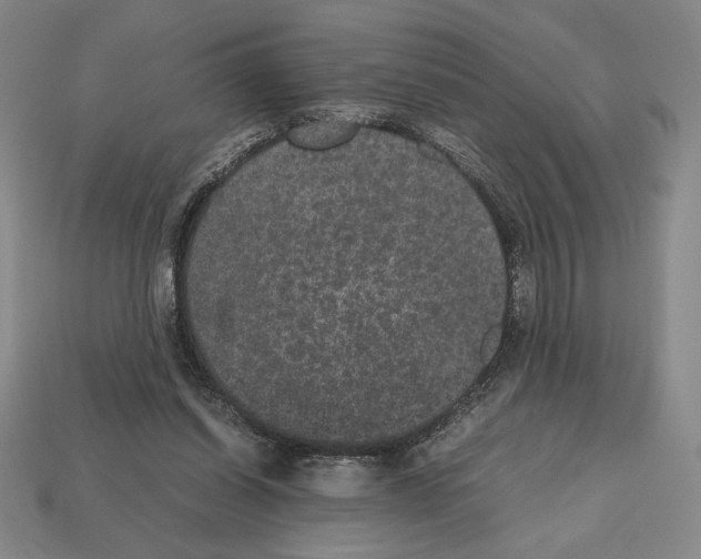 X0000112510254200909281002