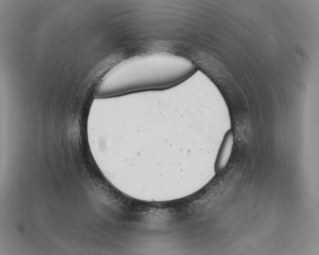 X0000112510256200909281002