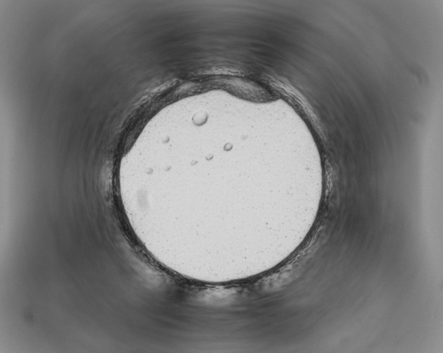 X0000112510257200909281002