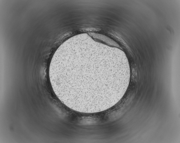 X0000112510259200909281002