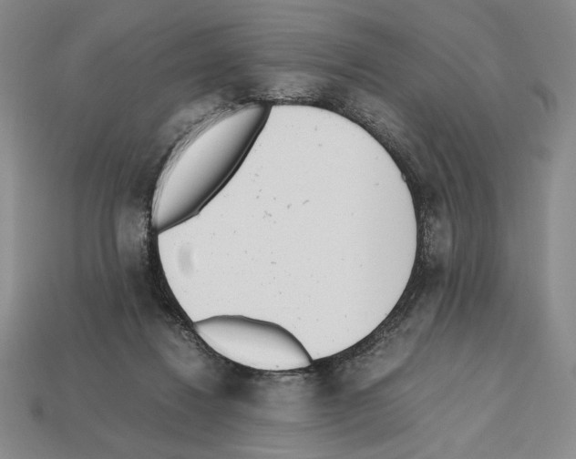 X0000112510260200909281002