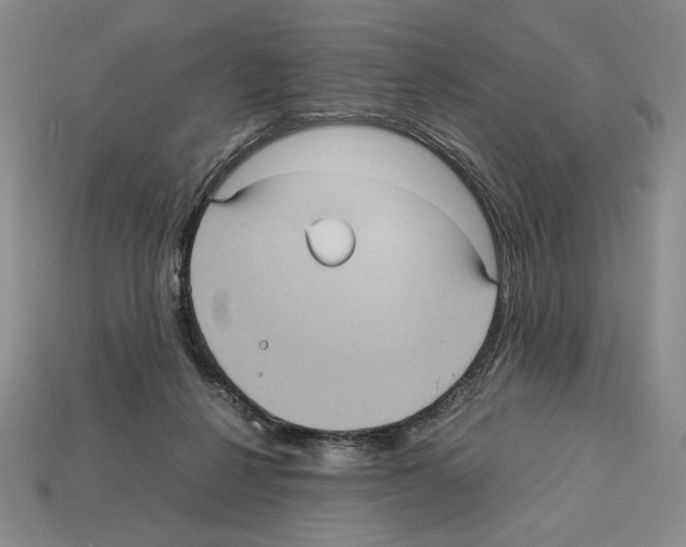 X0000112510264200909281002