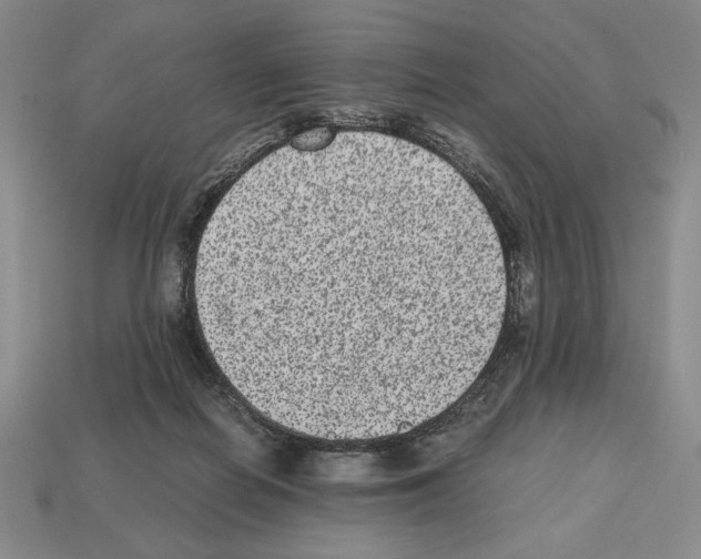 X0000112510266200909281002