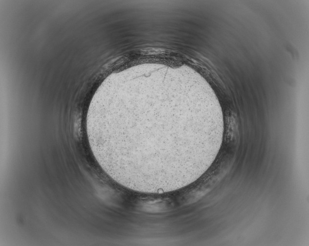 X0000112510267200909281002