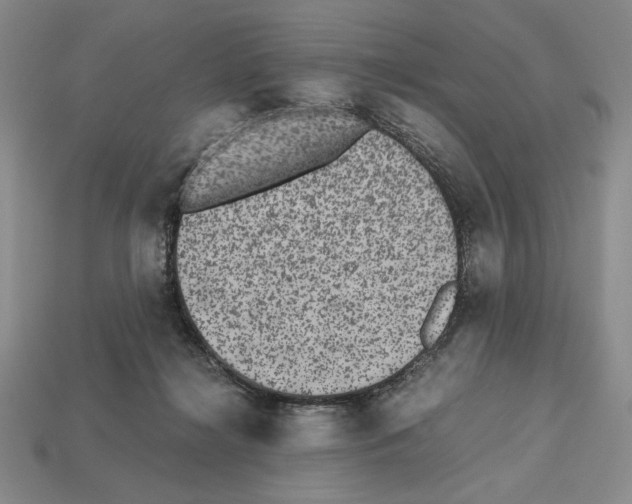 X0000112510268200909281002