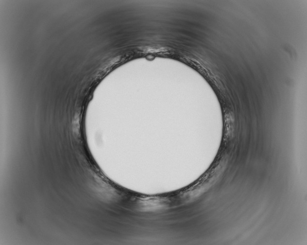 X0000112510269200909281002