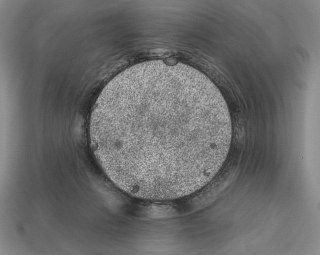 X0000112510270200909281002