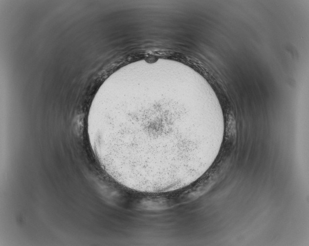 X0000112510271200909281002