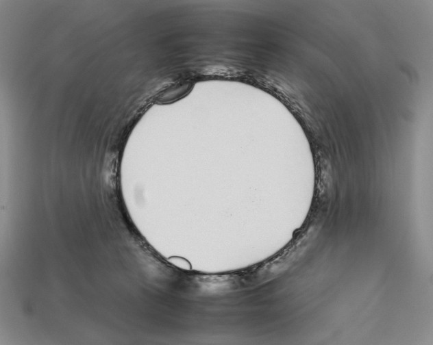 X0000112510273200909281002