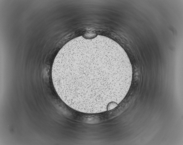 X0000112510275200909281002