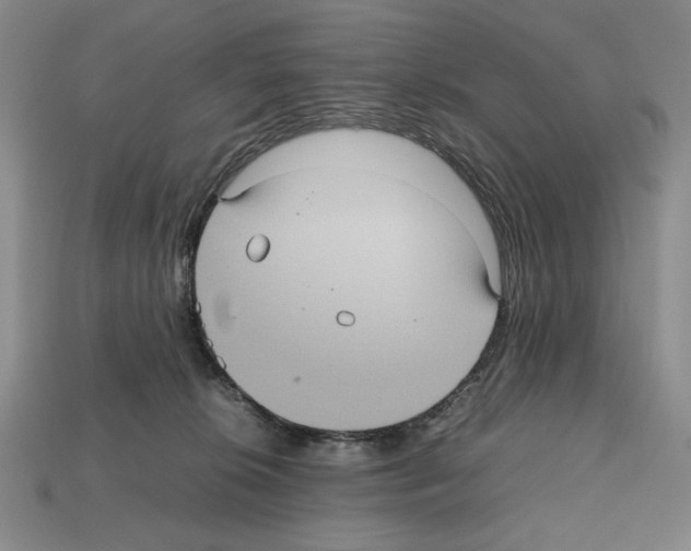 X0000112510276200909281002